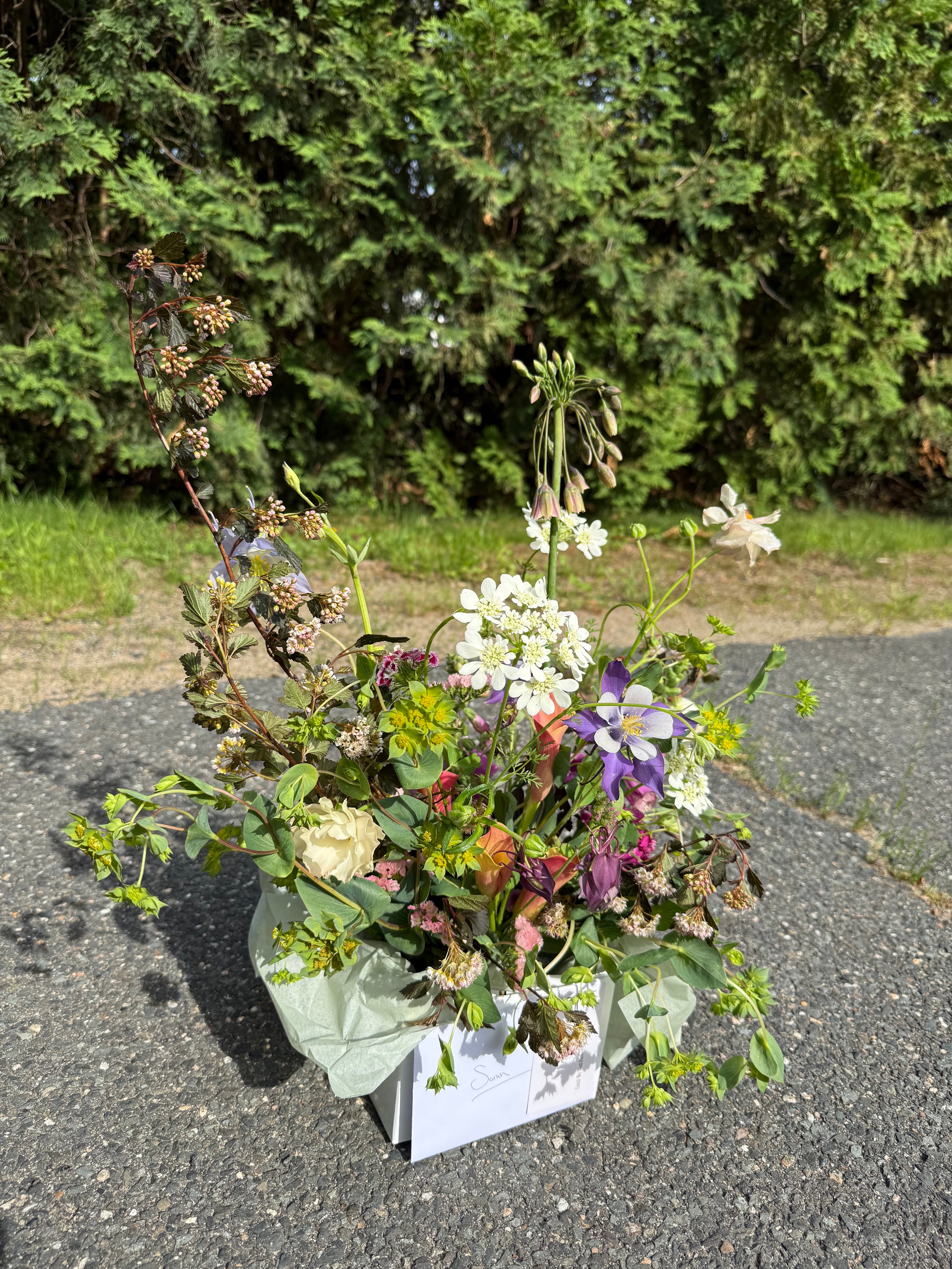 Garden in a Vase